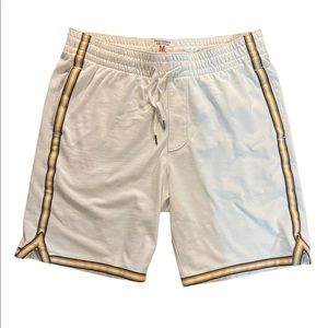 Abercrombie & Fitch Sportstyle Striped Shorts